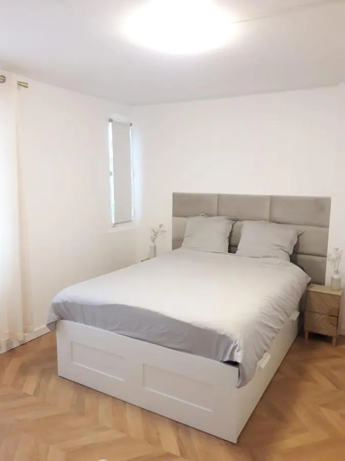 Champs Elysees Luxury Appartment Paris France